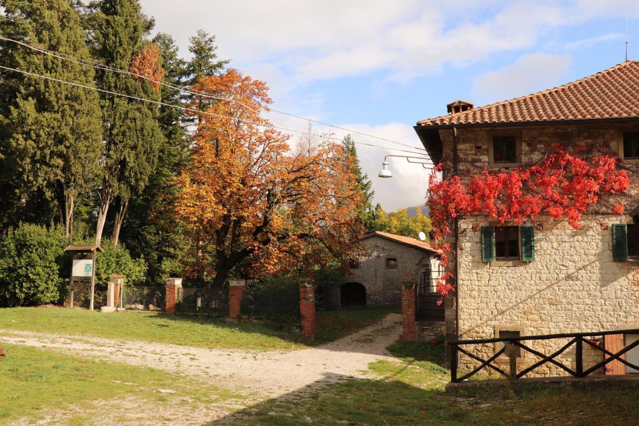 Agriturismo Villaggio Eden Pieve Santo Stefano Buitenkant foto